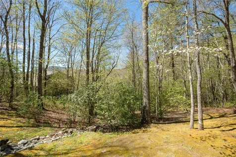 222 High Rock Vista Sapphire NC 28774