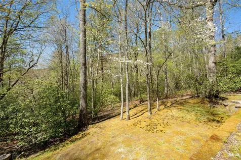 222 High Rock Vista Sapphire NC 28774