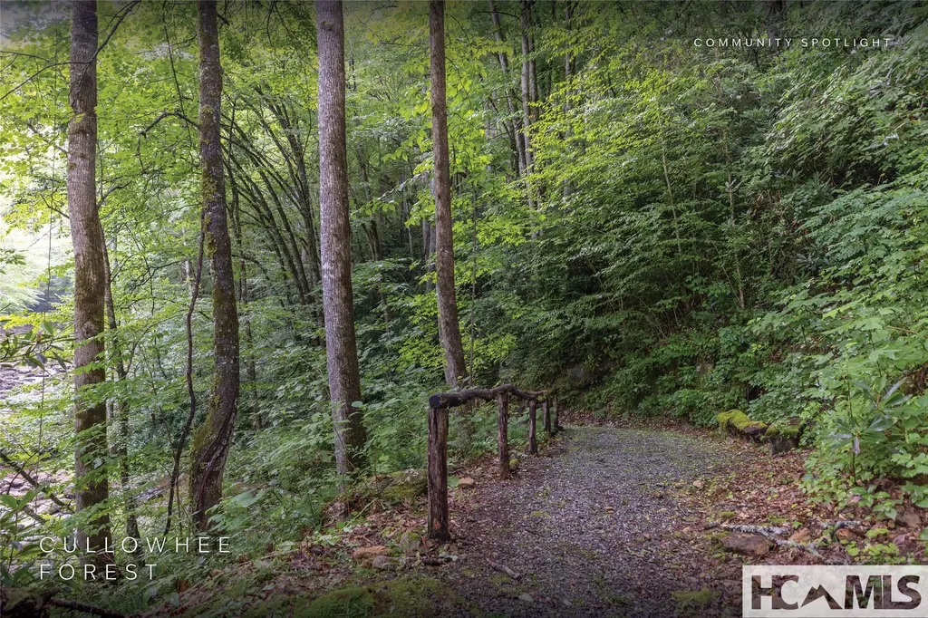 1701 Cullowhee Forest Road Cullowhee NC 28723