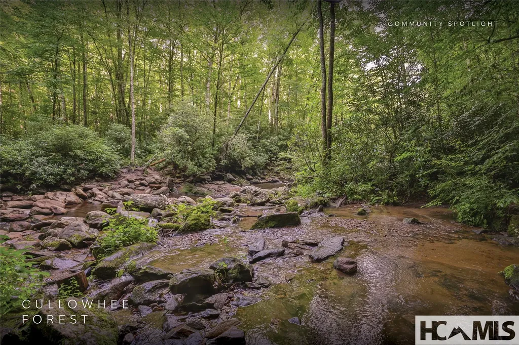 1701 Cullowhee Forest Road Cullowhee NC 28723