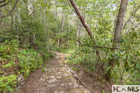 1701 Cullowhee Forest Road Cullowhee NC 28723