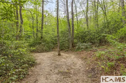 1701 Cullowhee Forest Road Cullowhee NC 28723
