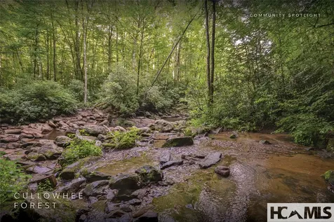 1701 Cullowhee Forest Road Cullowhee NC 28723
