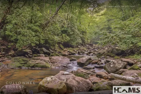 1701 Cullowhee Forest Road Cullowhee NC 28723