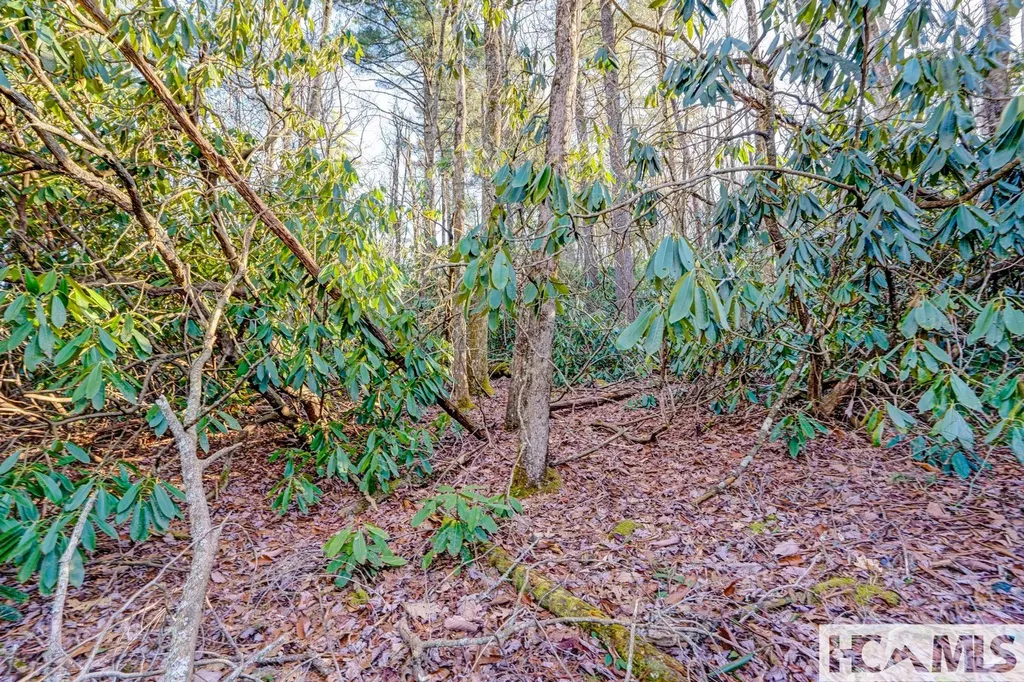 Lot 21 Hardscrabble Ridge Highlands NC 28741
