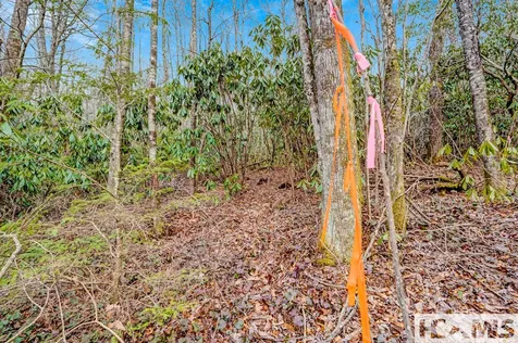 Lot 21 Hardscrabble Ridge Highlands NC 28741