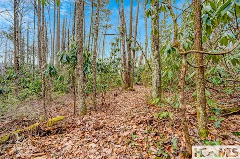 Lot 21 Hardscrabble Ridge Highlands NC 28741