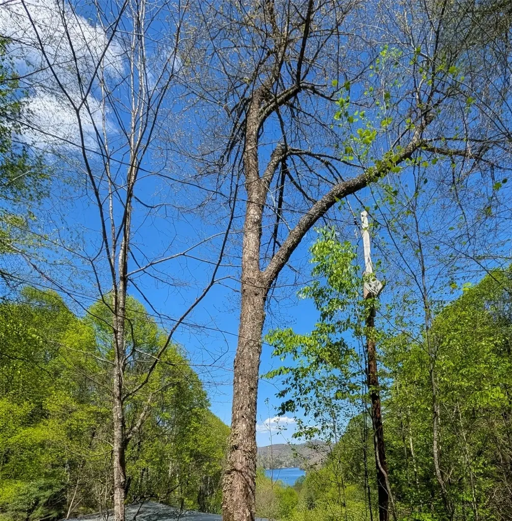 11 Captiva Mountain Drive Cullowhee NC 28723