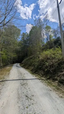 11 Captiva Mountain Drive Cullowhee NC 28723