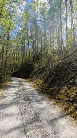 11 Captiva Mountain Drive Cullowhee NC 28723