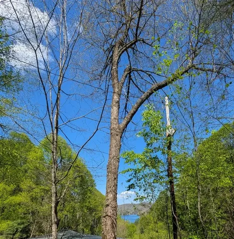 11 Captiva Mountain Drive Cullowhee NC 28723