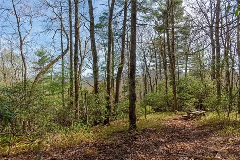 Lot 4 Trillium Ridge Road Cullowhee NC 28723
