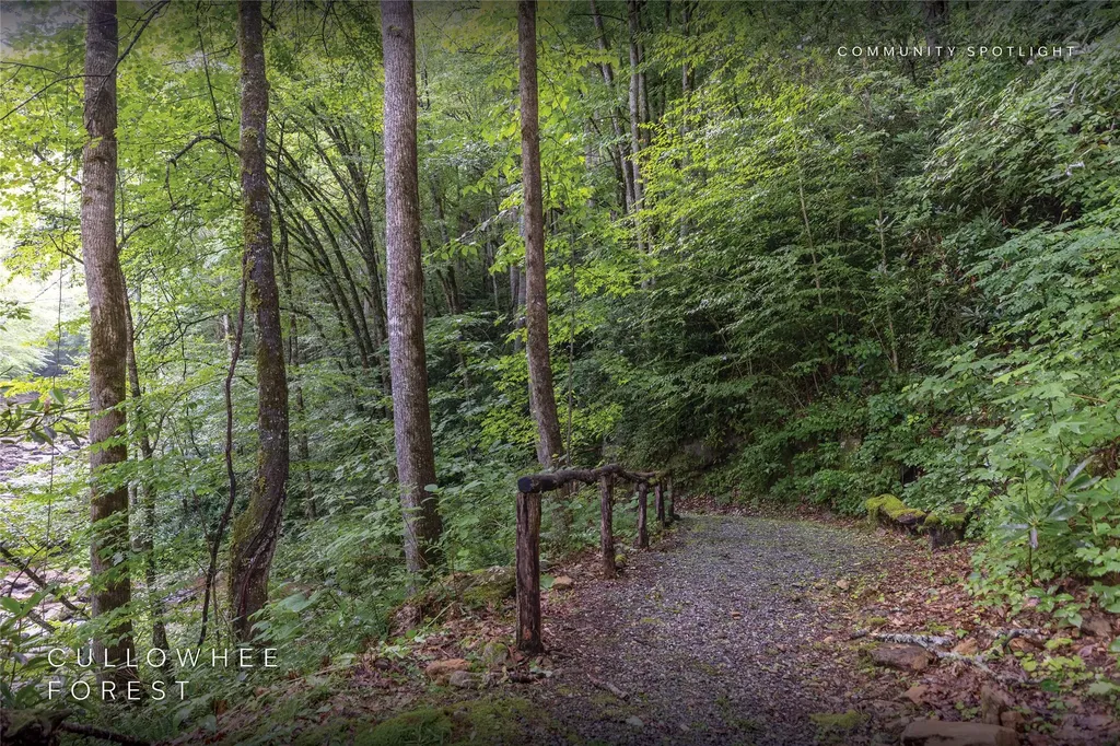 152 Walking Stick Trail Cullowhee NC 28723