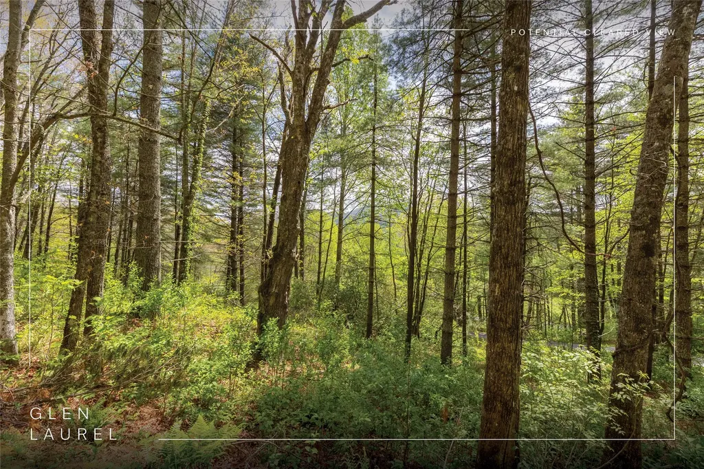 Lot 17 Glen Laurel Circle Cullowhee NC 28723