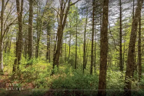 Lot 17 Glen Laurel Circle Cullowhee NC 28723