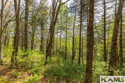 Lot 17 Glen Laurel Circle Cullowhee NC 28723