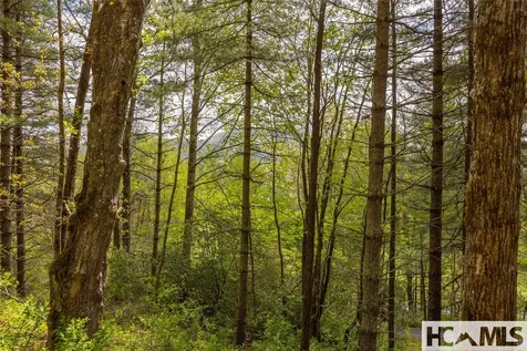 Lot 17 Glen Laurel Circle Cullowhee NC 28723