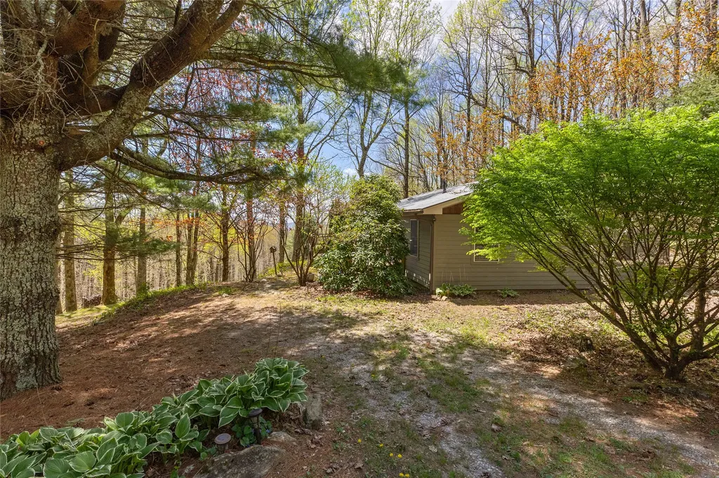 551 Bob Long Mountain Road Scaly Mountain NC 28775