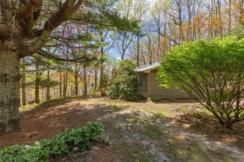 551 Bob Long Mountain Road Scaly Mountain NC 28775