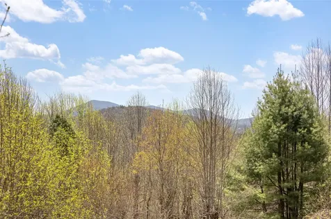 551 Bob Long Mountain Road Scaly Mountain NC 28775