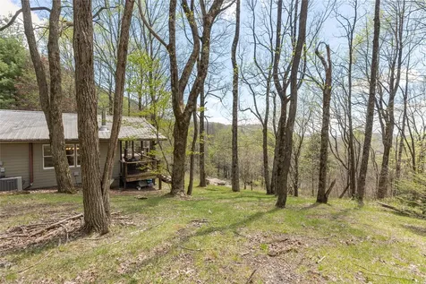 551 Bob Long Mountain Road Scaly Mountain NC 28775
