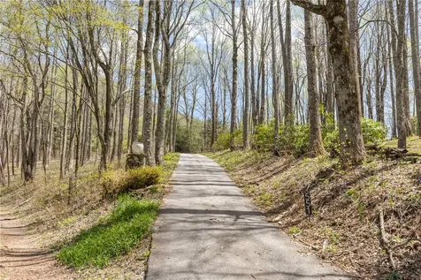 551 Bob Long Mountain Road Scaly Mountain NC 28775