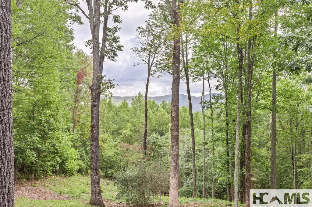 15 E. Ridge Road Cashiers NC 28717