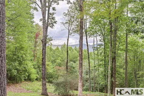 15 E. Ridge Road Cashiers NC 28717