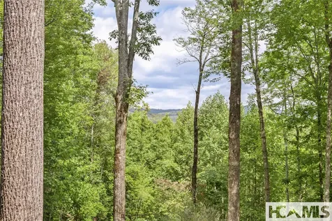 15 E. Ridge Road Cashiers NC 28717