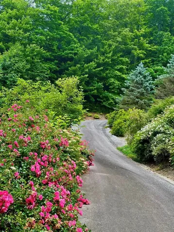 4594 Dillard Road Highlands NC 28741