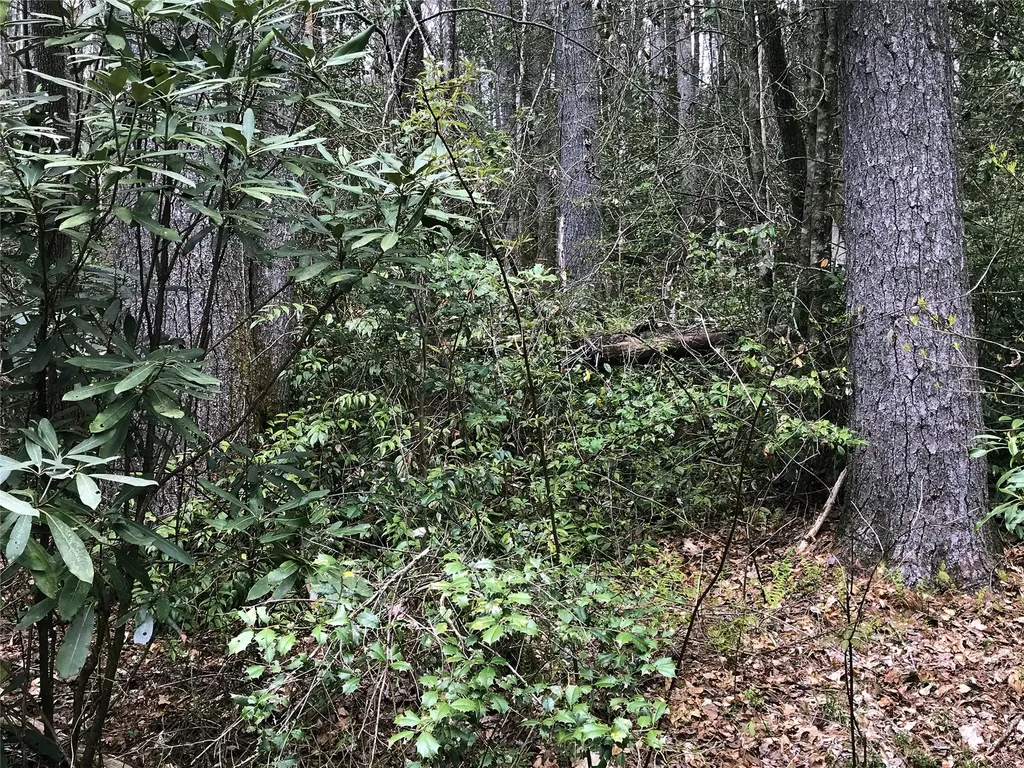152 Sunrise Court Sapphire NC 28774