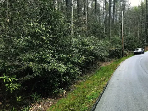 152 Sunrise Court Sapphire NC 28774
