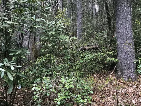 152 Sunrise Court Sapphire NC 28774