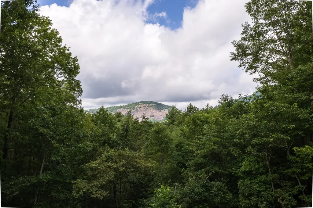 364 Gristmill Ridge Cashiers NC 28717
