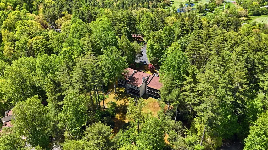 75 Holly Ridge Sapphire NC 28774