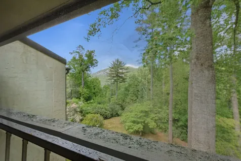 75 Holly Ridge Sapphire NC 28774