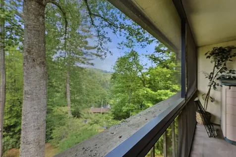 75 Holly Ridge Sapphire NC 28774
