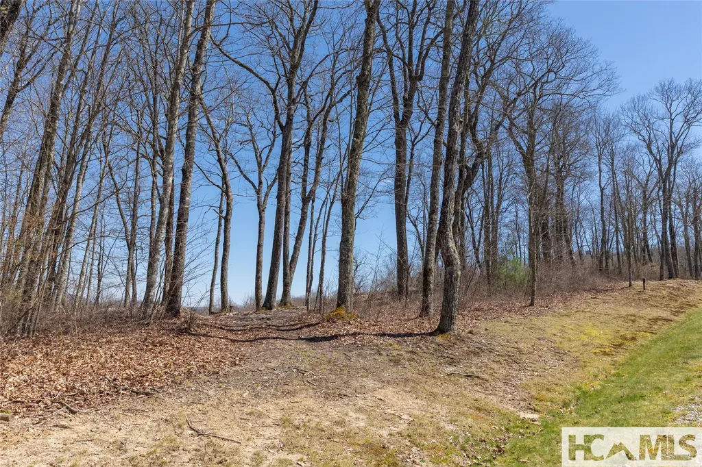 Lot 62 New Settler's Way Glenville NC 28736