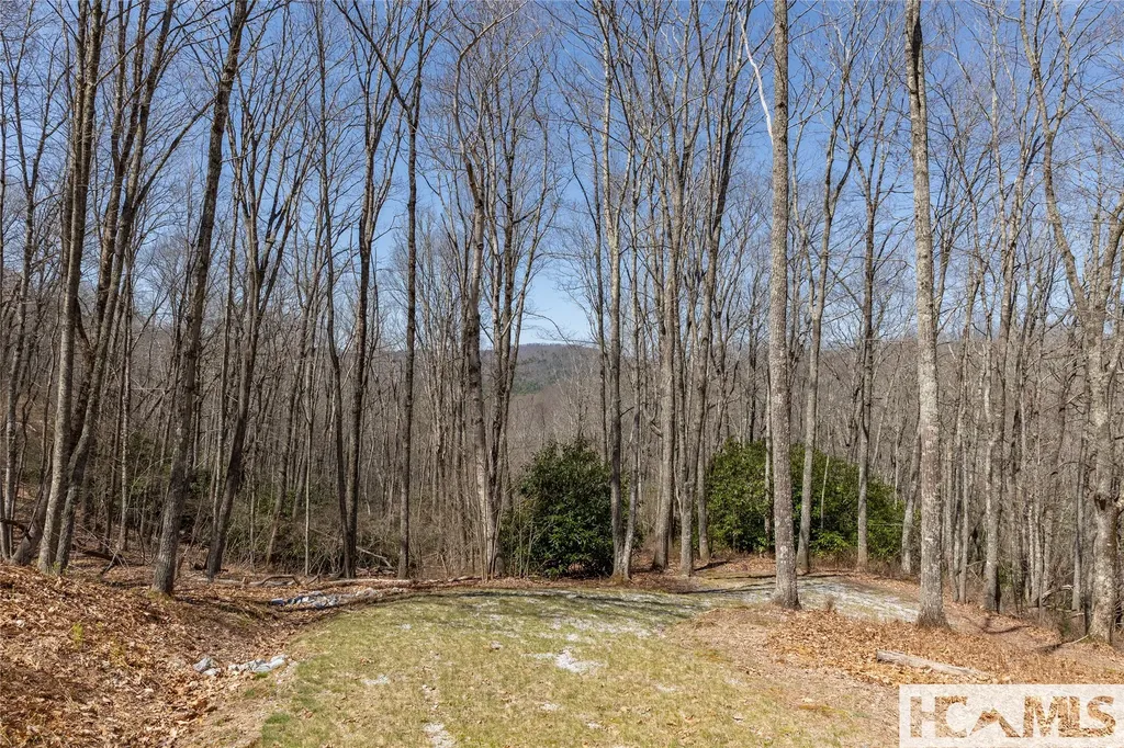 Lot 34 New Settler's Way Glenville NC 28736
