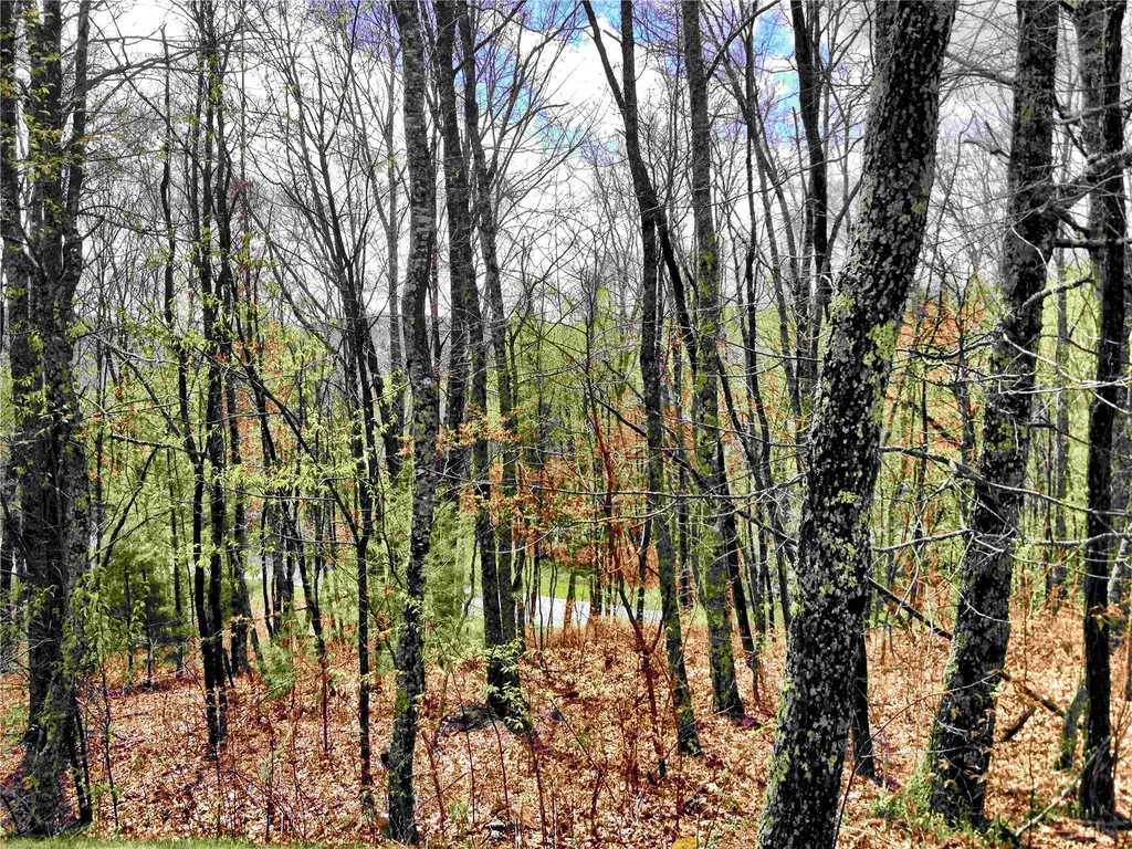 10 Trellis Lane Cashiers NC 28717
