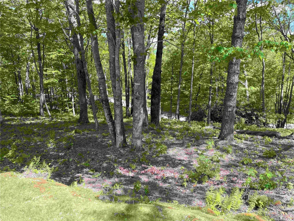 10 Trellis Lane Cashiers NC 28717