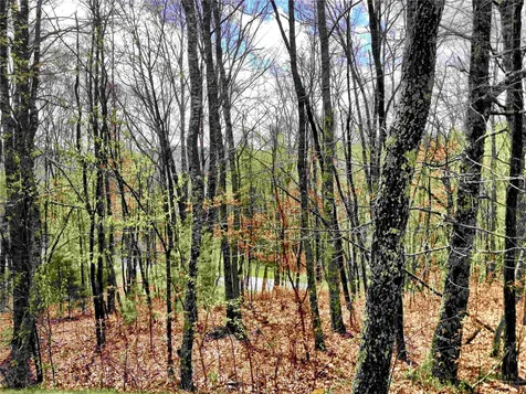 10 Trellis Lane Cashiers NC 28717