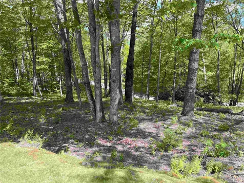 10 Trellis Lane Cashiers NC 28717