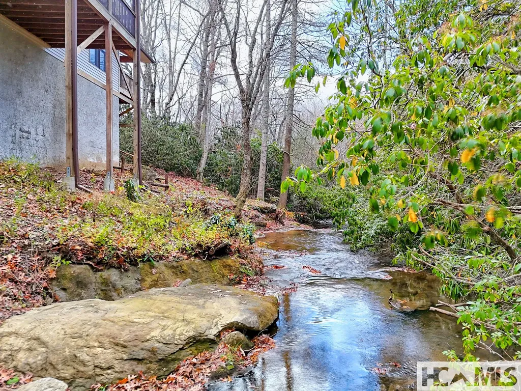 7829 Dillard Road Scaly Mountain NC 28775