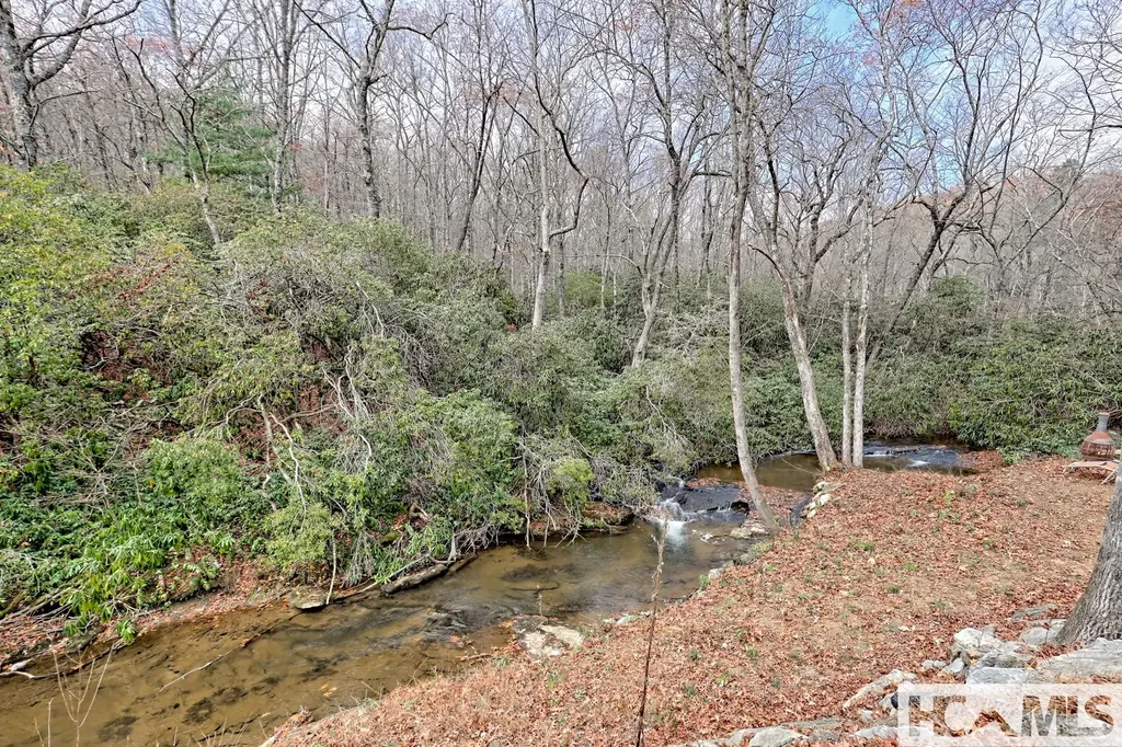7829 Dillard Road Scaly Mountain NC 28775