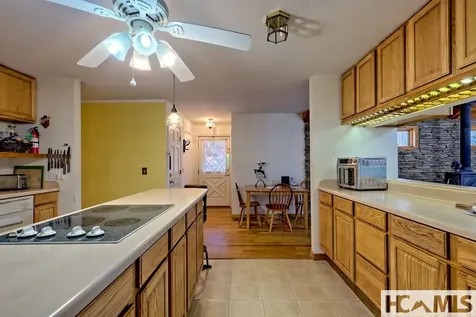 7829 Dillard Road Scaly Mountain NC 28775
