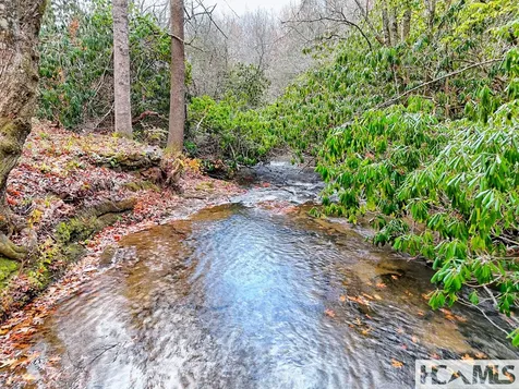 7829 Dillard Road Scaly Mountain NC 28775