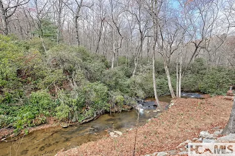 7829 Dillard Road Scaly Mountain NC 28775