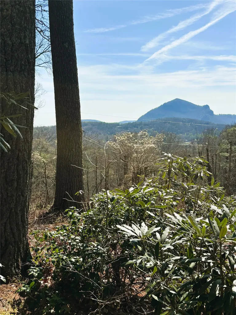 12 Watch Hill Lane Cashiers NC 28717