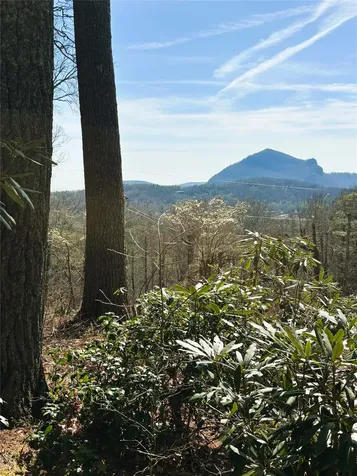 12 Watch Hill Lane Cashiers NC 28717
